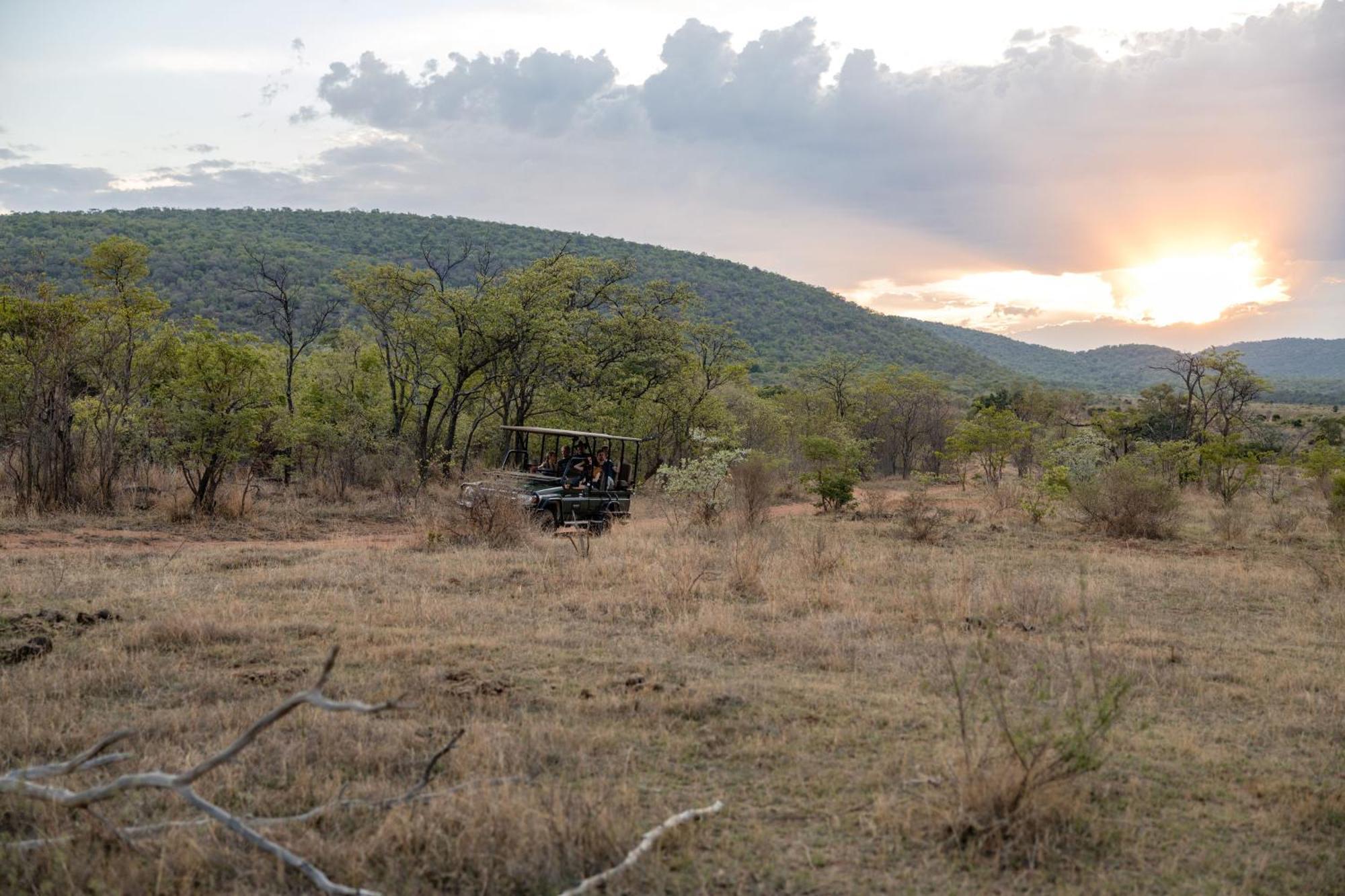 Makweti Safari Lodge محمية ويلغيفوندين غايم المظهر الخارجي الصورة