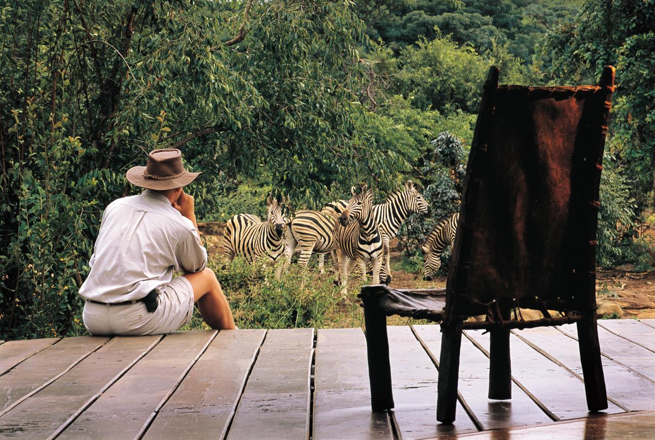 Makweti Safari Lodge محمية ويلغيفوندين غايم الغرفة الصورة