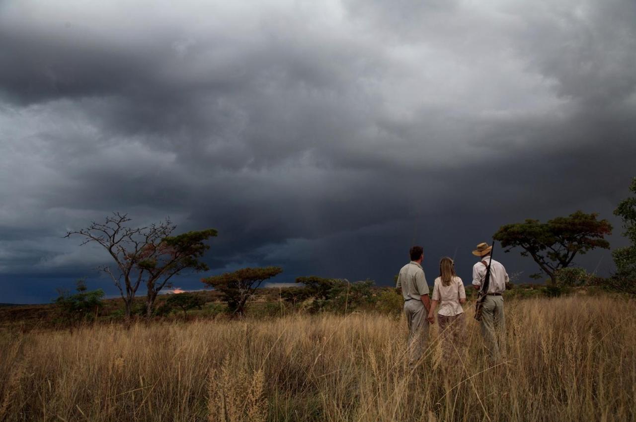 Makweti Safari Lodge محمية ويلغيفوندين غايم المظهر الخارجي الصورة